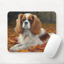 Search for leaf fall electronics Dog
