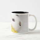 Search for sensation mugs Animal