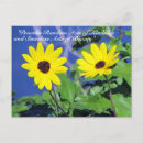 Search for black eyed susan flowers postcards Wildflower