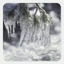 Search for icicle stickers Cold