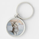 Search for coon key rings Cute