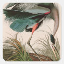 Search for great heron stickers Animal