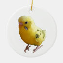 Search for budgie christmas tree decorations Bird