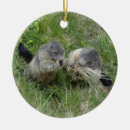 Search for groundhog christmas tree decorations Nature