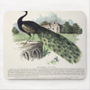 Search for descriptions mousepads Colour