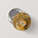 Search for fossils badges Rocks