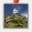 Search for the southern christmas tree decorations Landscape