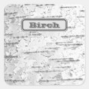 Search for birch bark stickers Tree