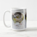 Search for conure parrot mugs Pet