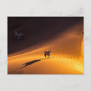 Search for namib postcards Namib naukluft national park