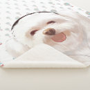 Search for music blankets Headphones