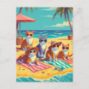 Search for beach cat postcards Cats