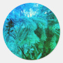 Search for fir stickers Winter