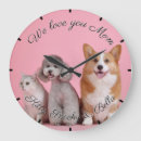 Search for cat numbers clocks Pet
