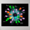 Search for particle physics posters Energy