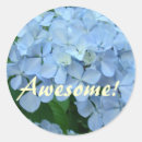 Search for awesome student stickers Reward