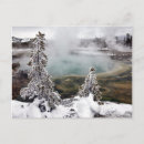 Search for yellowstone postcards Travel destinations