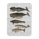 Search for five magnets Vintage