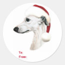 Search for whippet dog stickers Animal