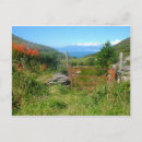 Search for kerrie postcards Wild atlantic way