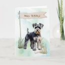 Search for dog cards Schnauzer