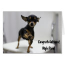 Search for high fiving Dog