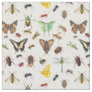 Search for bugs fabric Insect