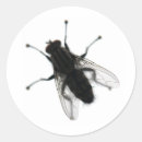 Search for flying insect stickers Animals