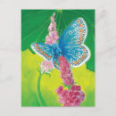 Search for pollinators postcards Bugs