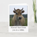 Search for funny cow cards Farm