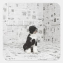 Search for portuguese water dog stickers Black and white