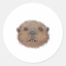 Search for cute beaver stickers Brown