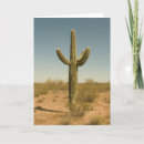 Search for arid cards Desert