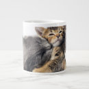 Search for baby kitten mugs Feline