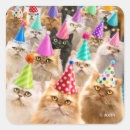 Search for funny pet stickers Cats