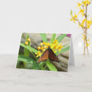Search for tropical butterfly cards Nature