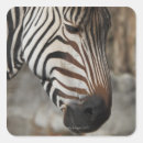 Search for wild side stickers Wildlife
