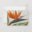 Search for birds of paradise note cards Floral