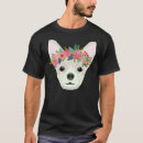 Search for pure breed Chihuahua