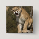 Search for captivating badges Usa