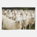 Search for sheep tea towels Field