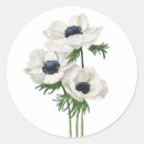 Search for anemone stickers Blue