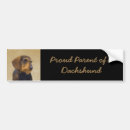 Search for dachshund bumper stickers Doxie