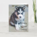 Search for siberian husky dog birthday cards Happy