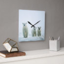 Search for polar bear clocks Iceberg