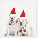 Search for bulldog portrait stickers Nature