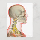 Search for render postcards People