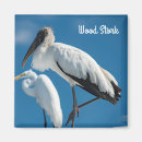 Search for stork magnets Avian
