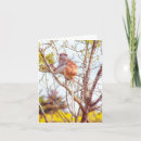 Search for primate cards Nature