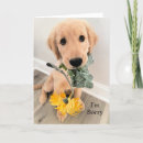 Search for dog apology cards Golden retriever